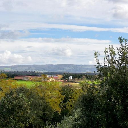Agriturismo Nuragh'Elighe Sindia المظهر الخارجي الصورة