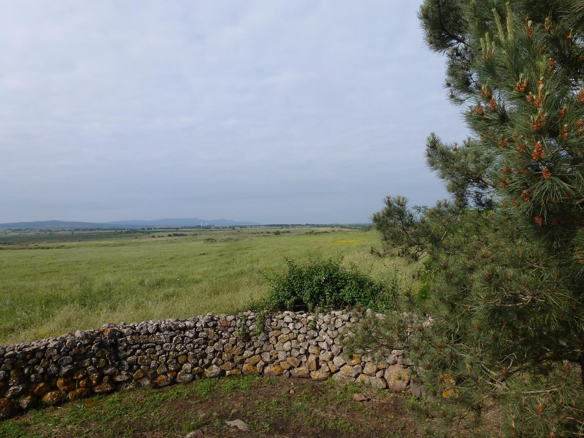 Agriturismo Nuragh'Elighe Sindia المظهر الخارجي الصورة