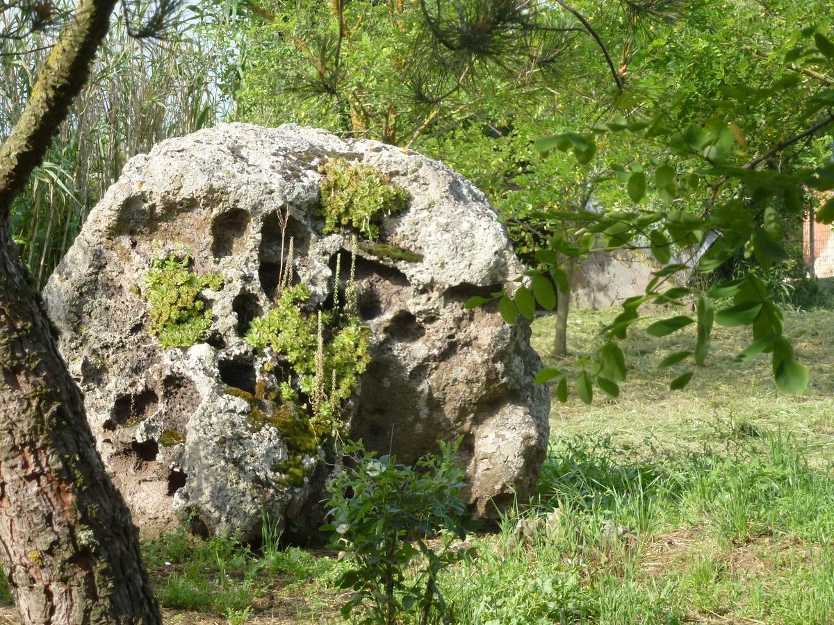 Agriturismo Nuragh'Elighe Sindia المظهر الخارجي الصورة