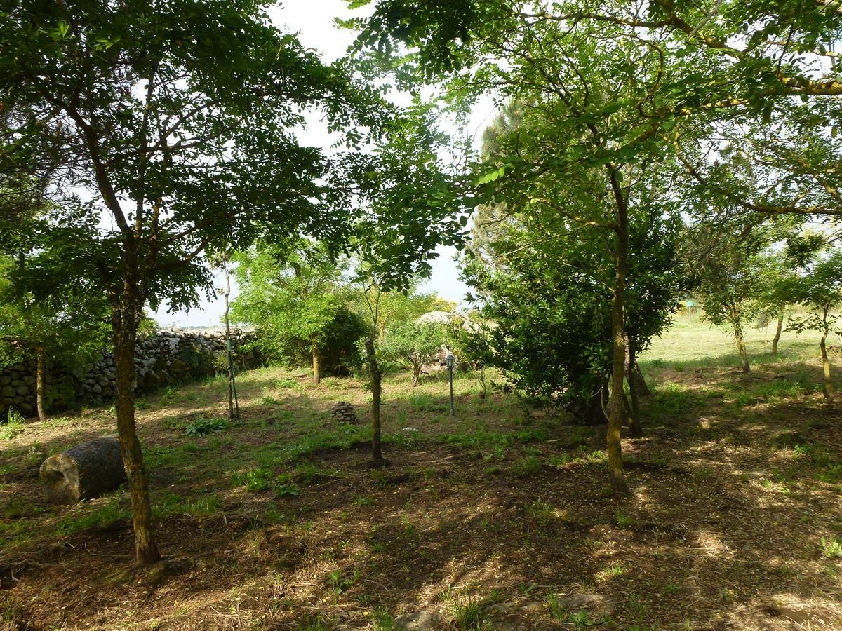 Agriturismo Nuragh'Elighe Sindia المظهر الخارجي الصورة