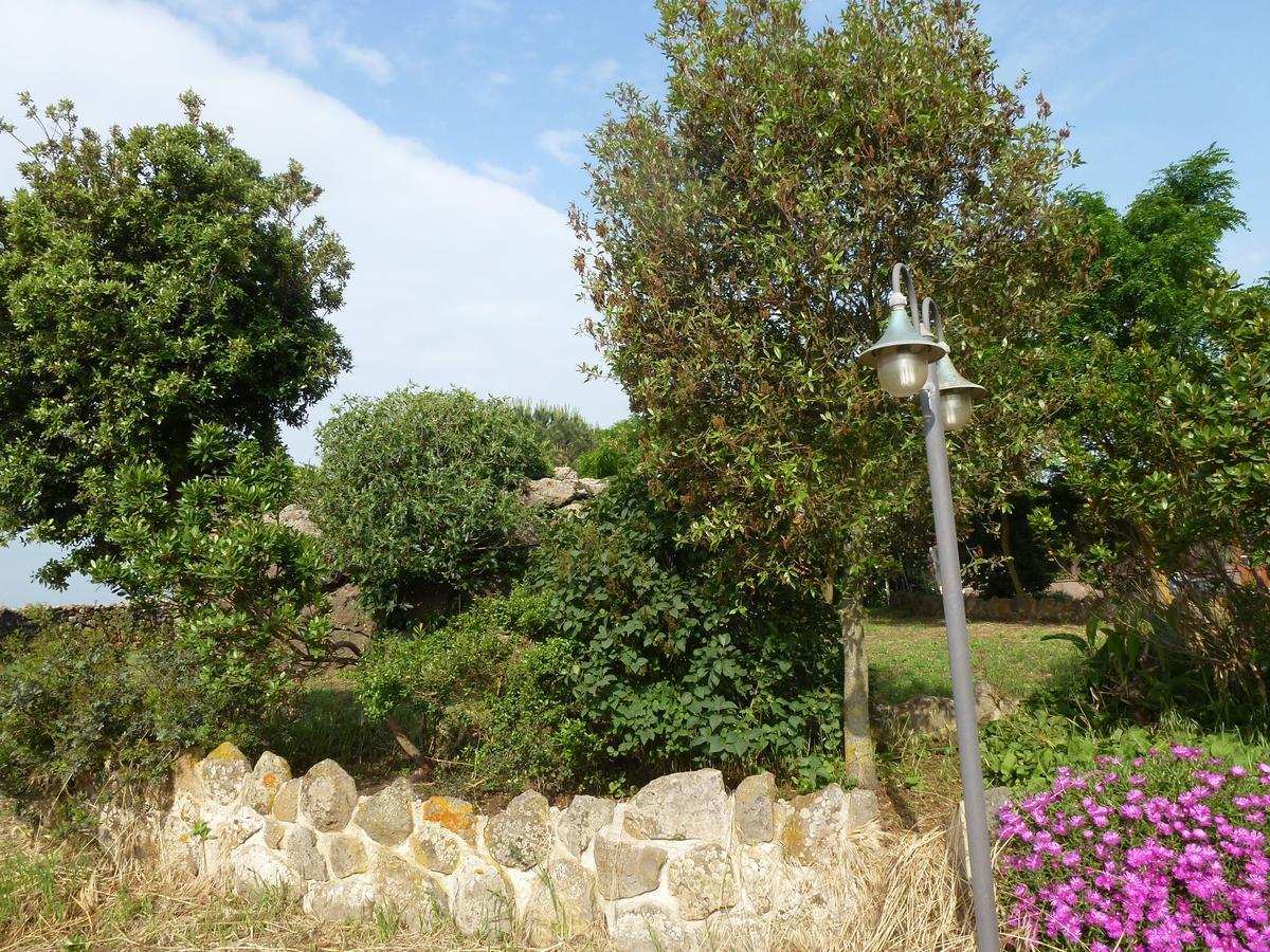 Agriturismo Nuragh'Elighe Sindia المظهر الخارجي الصورة