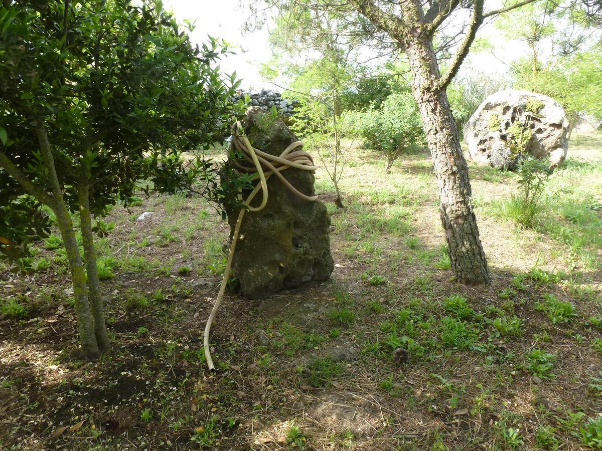 Agriturismo Nuragh'Elighe Sindia المظهر الخارجي الصورة