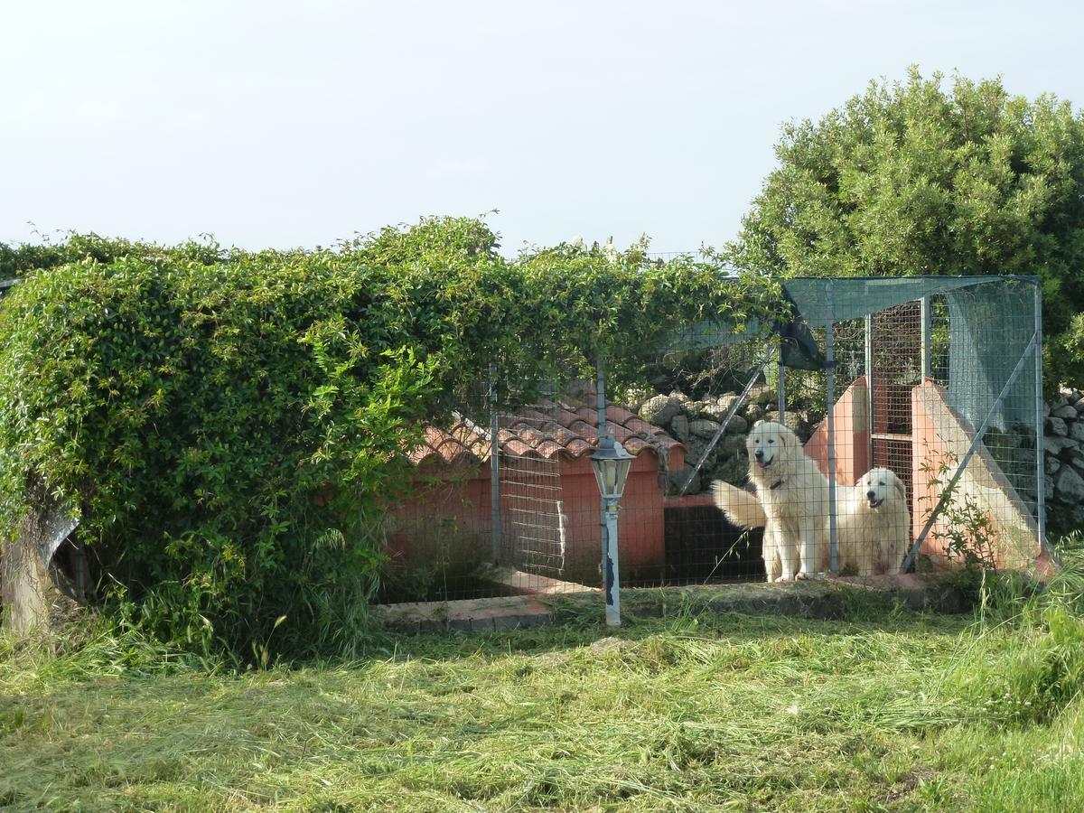 Agriturismo Nuragh'Elighe Sindia المظهر الخارجي الصورة